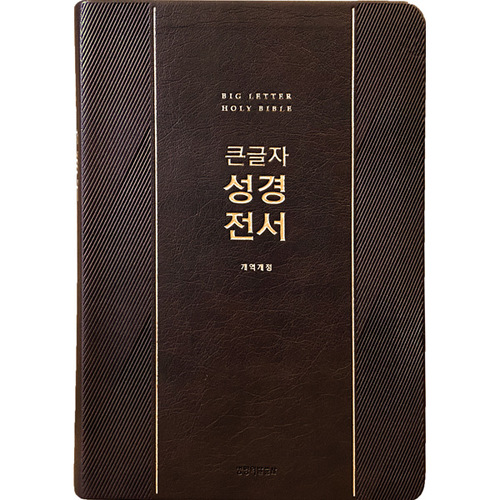 큰글자성경전서 대단본 NKR72EWXU 무지퍼 다크브라운