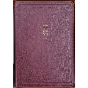 큰글성경 특대합본 개역개정 새찬송가 색인 지퍼 버건디